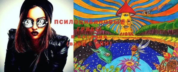 синтетический гашиш Алексин