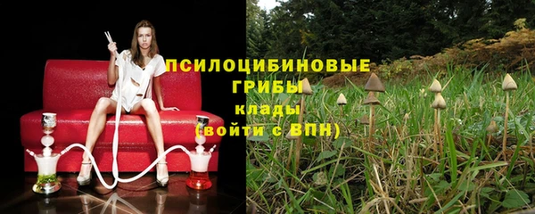 синтетический гашиш Алексин