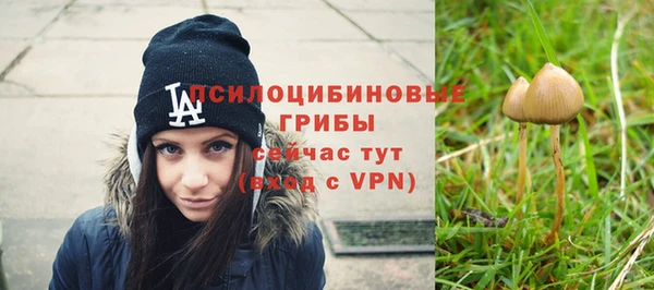 герыч Абаза