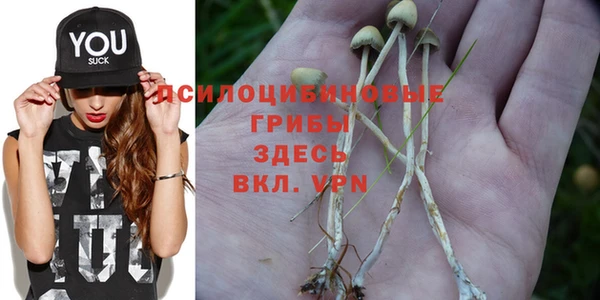 герыч Абаза