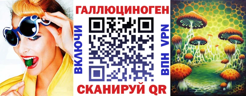закладка  Лиски  Галлюциногенные грибы Psilocybine cubensis 